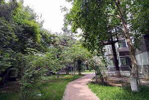 PEKIN - UNIVERSITE LANGUES ETRANGERES 09 2023 (22)